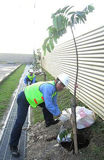 Tree planting by BlueScope China employees from Suzhou Lysaght (Sarawak)